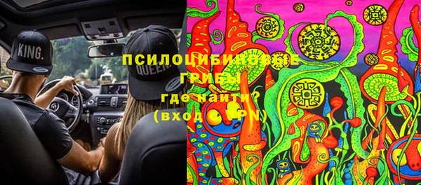 стаф Алексин